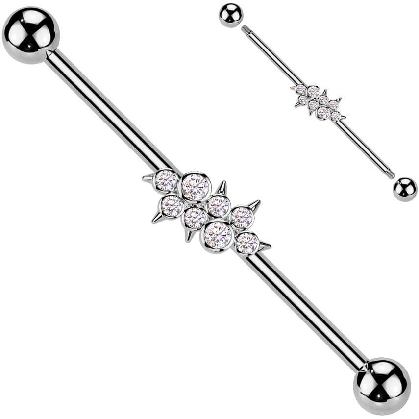 Industrial Barbell zirconias spikes