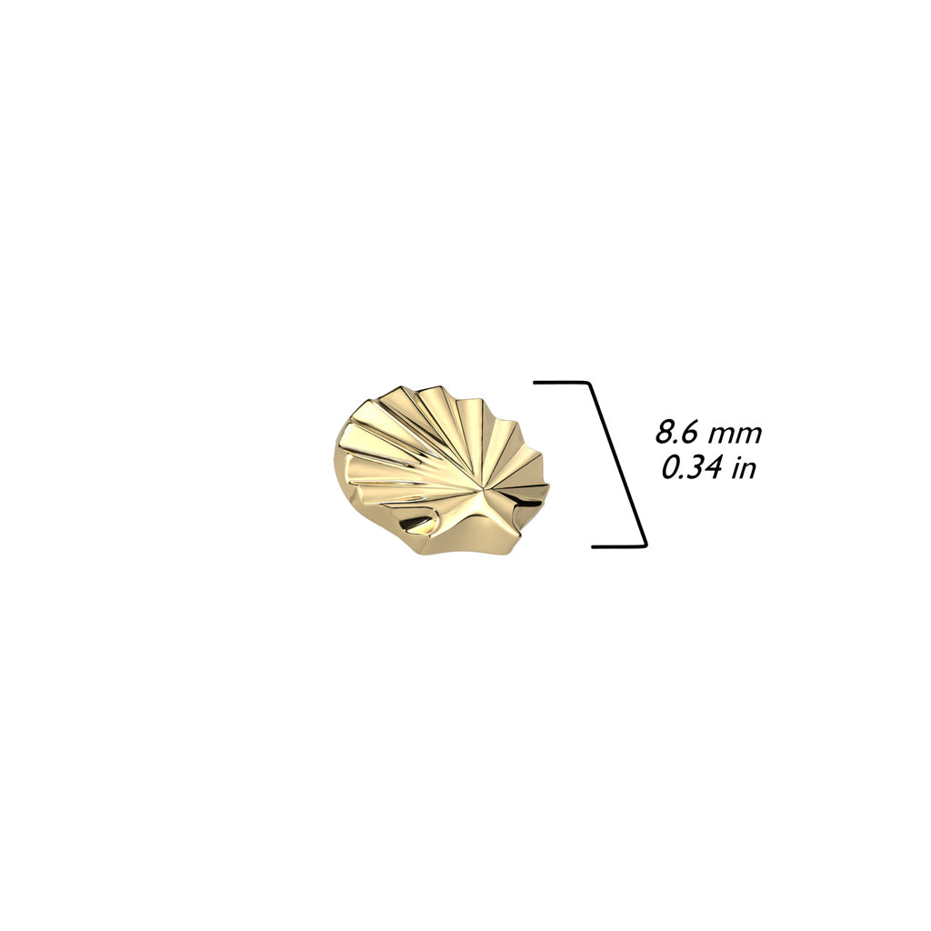 Titane Embout Embout Coquille Filetage Interne