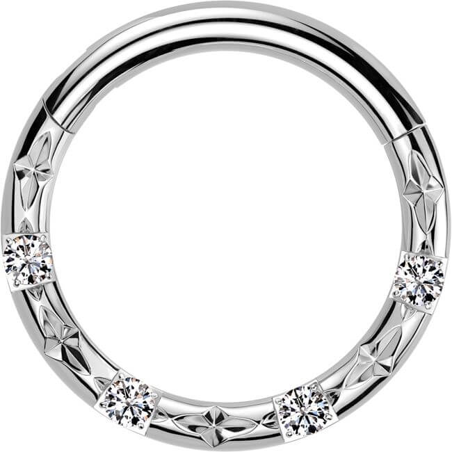 Titan Ring 4 Zirkonia Facettenschliffe Segment
