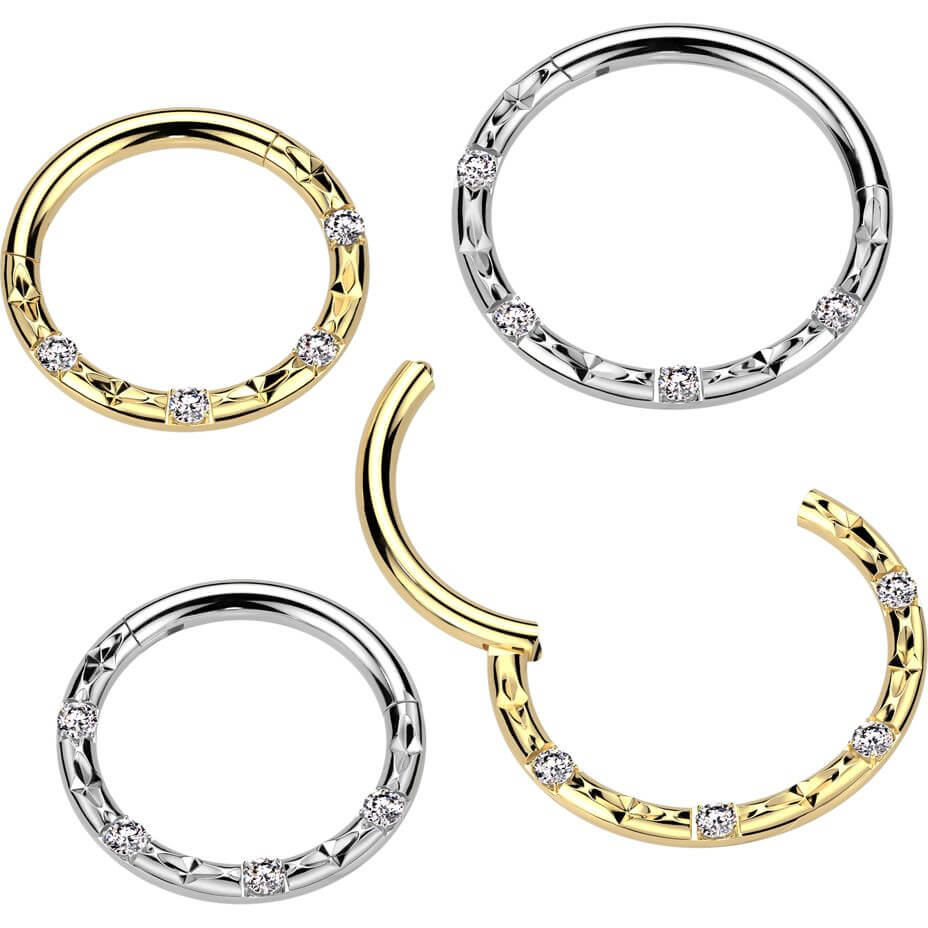 Titan Ring 4 Zirkonia Facettenschliffe Segment