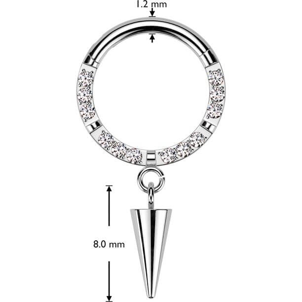 Titan Ring Zirkonia Stachel Anhänger Segment
