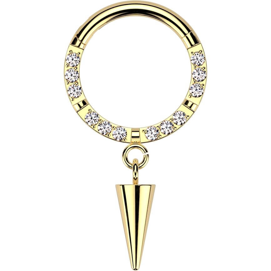 Titan Ring Zirkonia Stachel Anhänger Segment