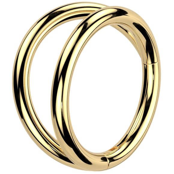Titanium Ring double hoop Segment