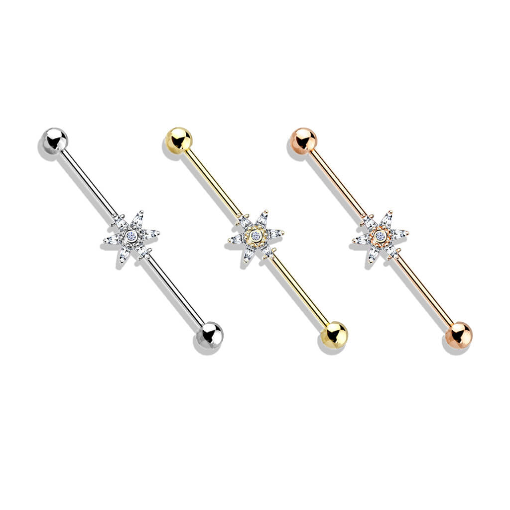 Industrial Barbell Blume Zirkonia