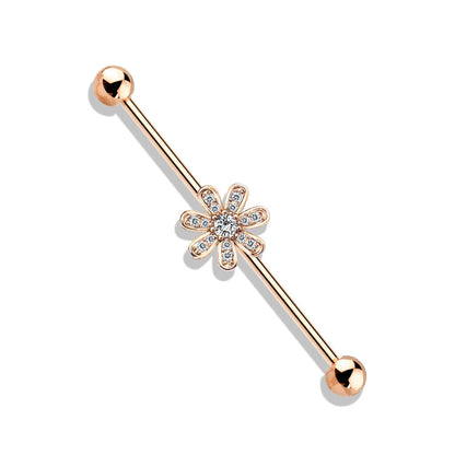 Industrial Barbell Blume Zirkonia