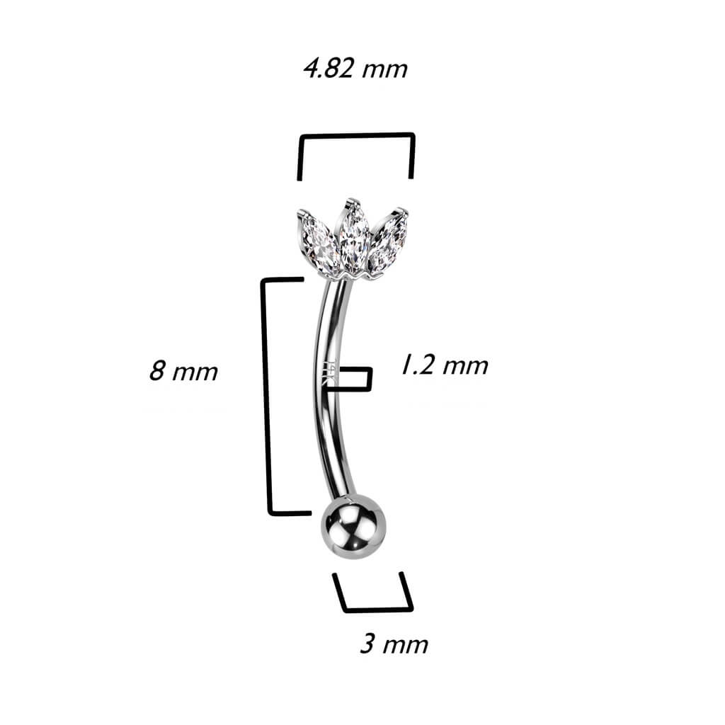 14 Karat Gold Augenbrauenpiercing Fächer Zirkonia