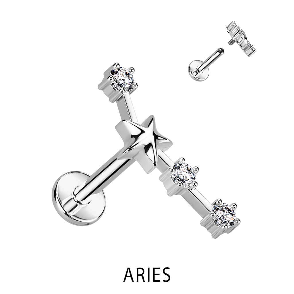 Signo del zodiaco Circonita Plata Rosca interna Labret