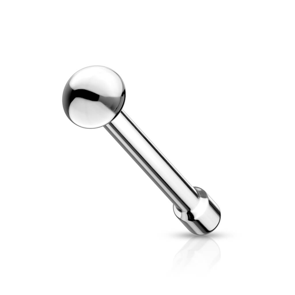 Nariz Stud Pincho, Hemisferio Plata