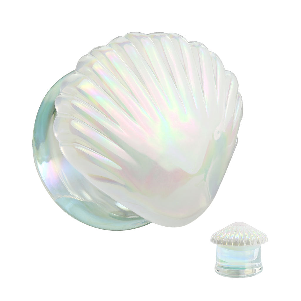 Verre Plug Coquille