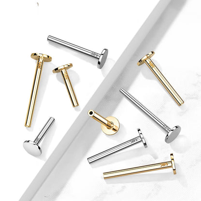 Oro 14kt Labret con base plana Push In