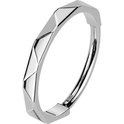 Titanium Ring faceted side Segment