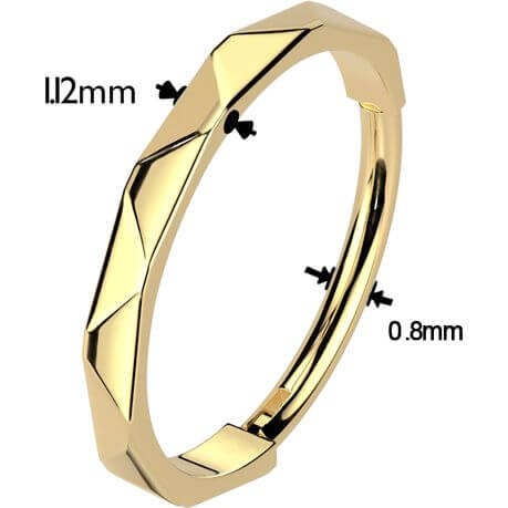 Titanium Ring faceted side Segment