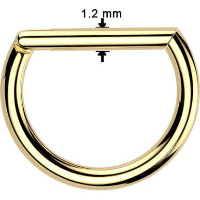 Titanium Ring gold silver black Segment