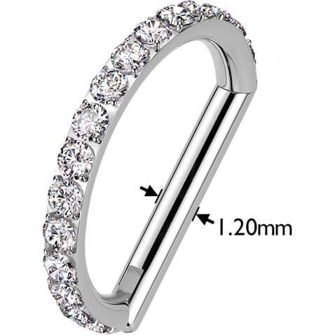 Titanium Ring zirconia Segment