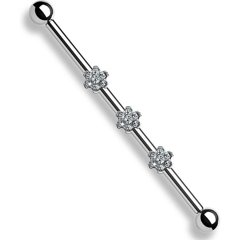 Titan Industrial Barbell 3 Blumen Aufsätze Zirkonia Innengewinde