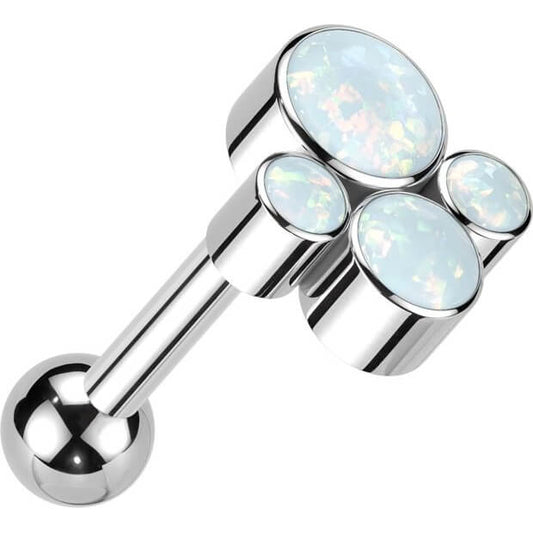 Titan Barbell Opal Zargenfassung Innengewinde