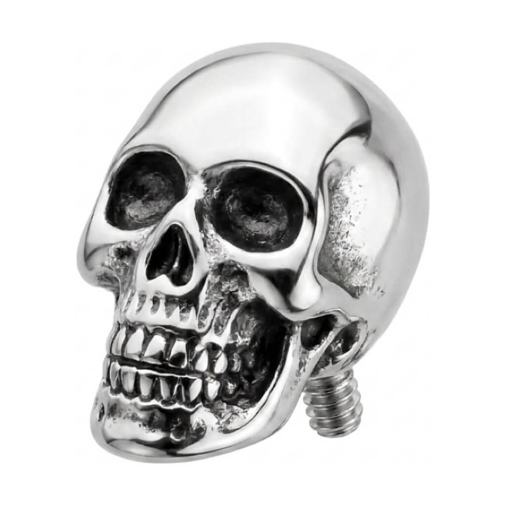 Titanium Top Anatomical Human Skull Internally Threaded